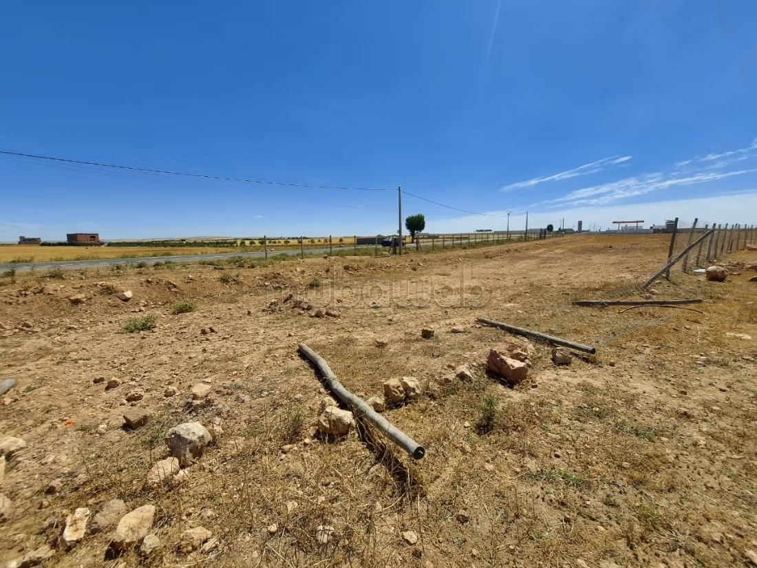 Terreno in vendita