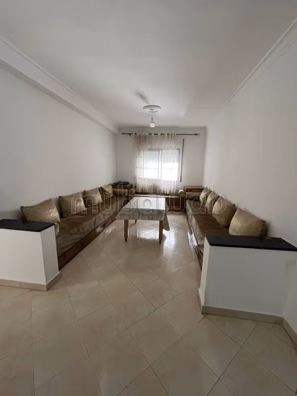 Furnished luxury apartment