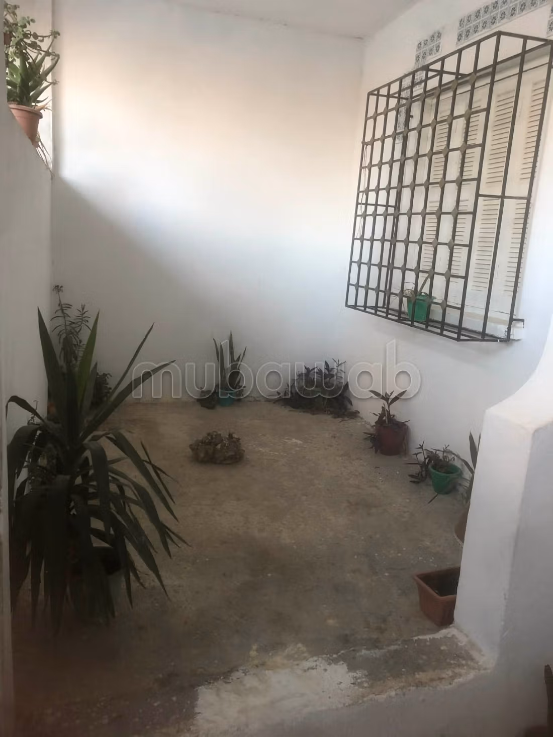 Title of Property Available