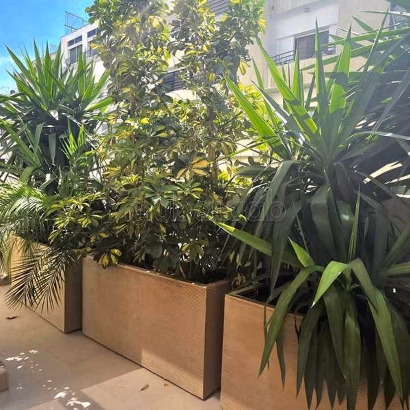 Appartamento in Vendita di 118.0 m² a Casablanca, Ospedali