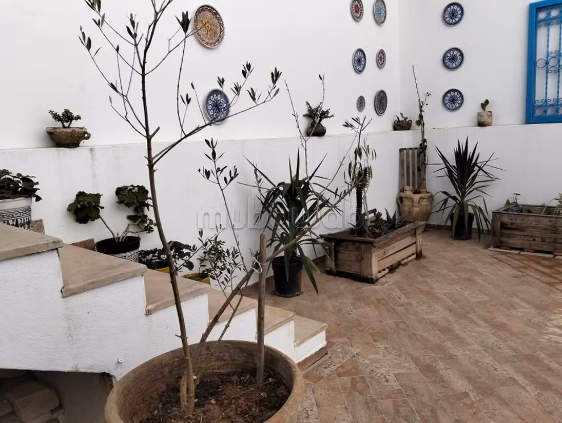 Giardini di El Menzah in affitto bel appartamento arredato