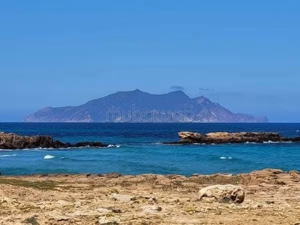 Terrain à vendre au bord de la mer