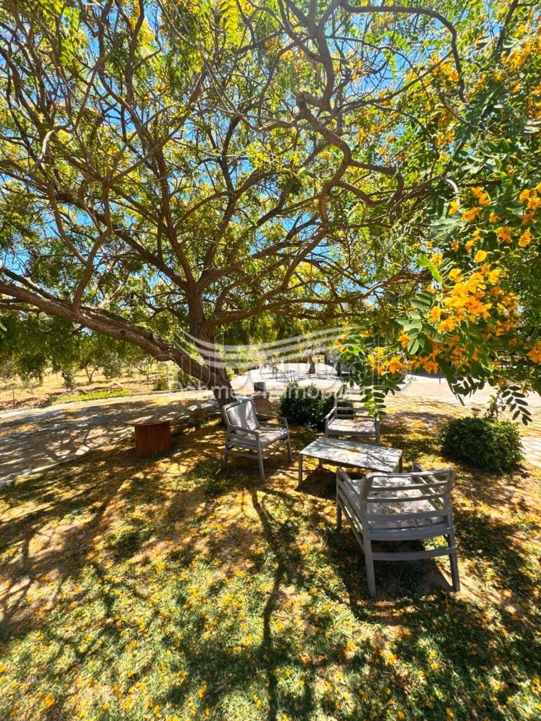 Annual Location - Detached Villa
