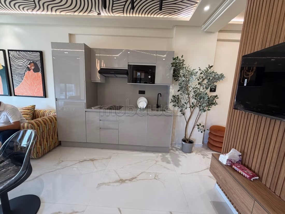 Très bel appartement en location à Les Hôpitaux. 2 pièces. Bien meublé — 2