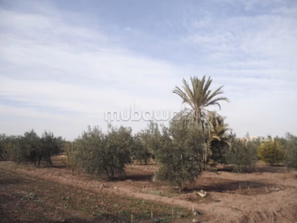 Terreno in vendita sulla strada del parco acquatico Ourika