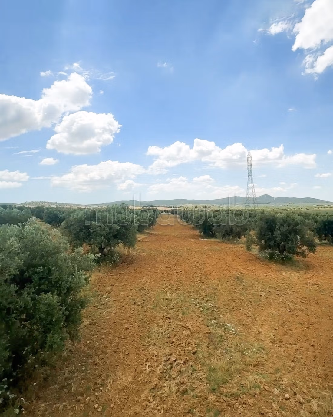 For sale Agricultural Estate Zaghouan Road