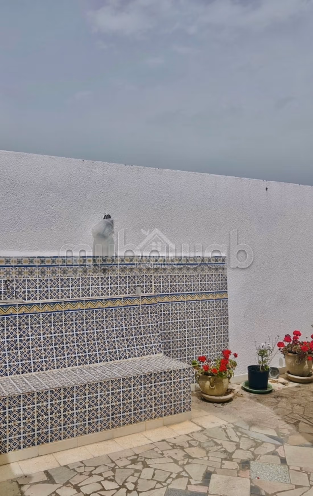 A vendre une villa à Raoued