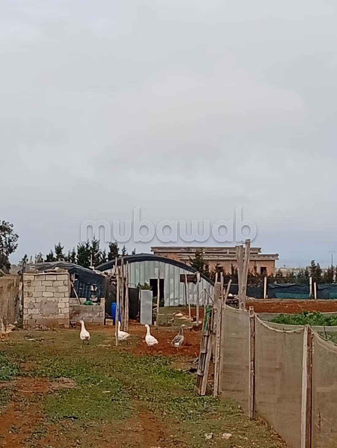 Villa en venta en Sidi Rahal, Amza de la Vida con Terrenos