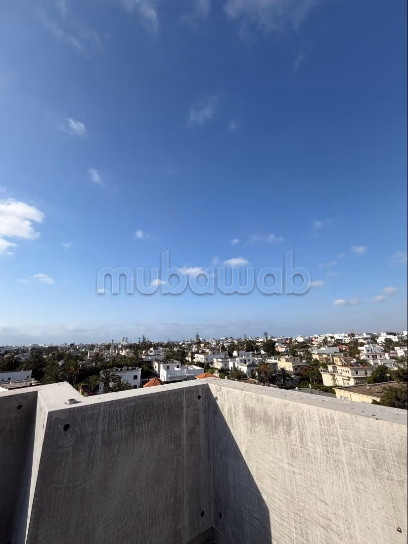 Offices for rent in Oasis 312 m²