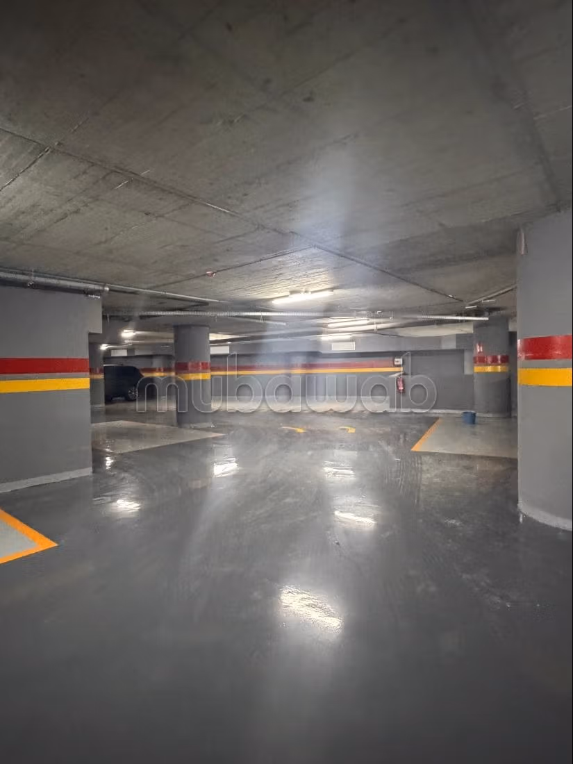 Offices for rent in Oasis 312 m²