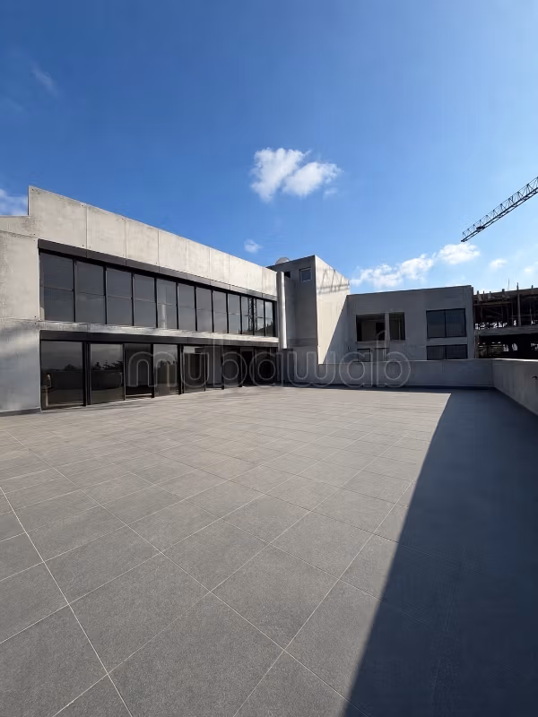 Offices for rent in Oasis 312 m²