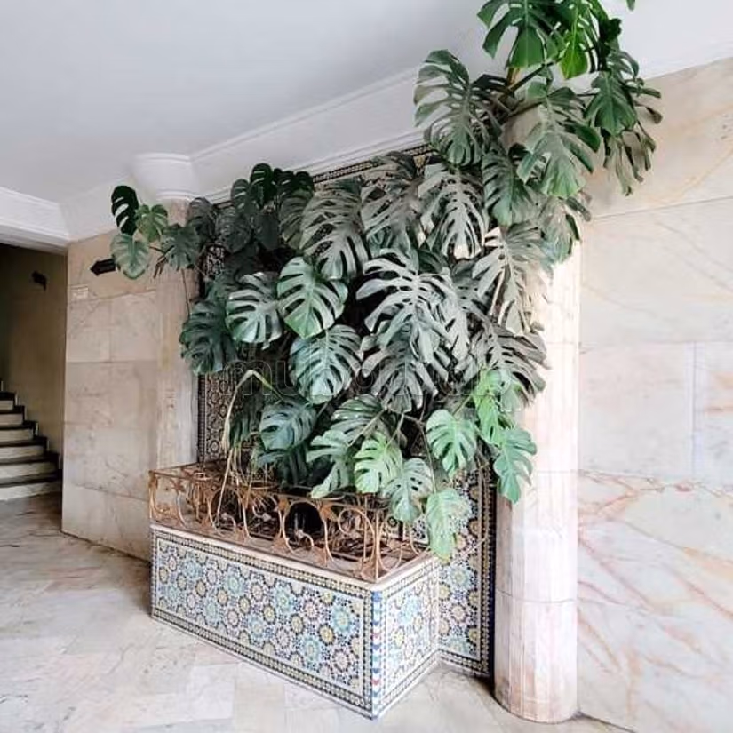 Ufficio in Vendita di 117.0 m² a Casablanca, Ospedali