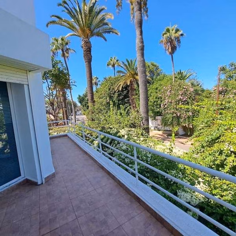 Ufficio in Affitto di 293.0 m² a Casablanca, Ain Diab