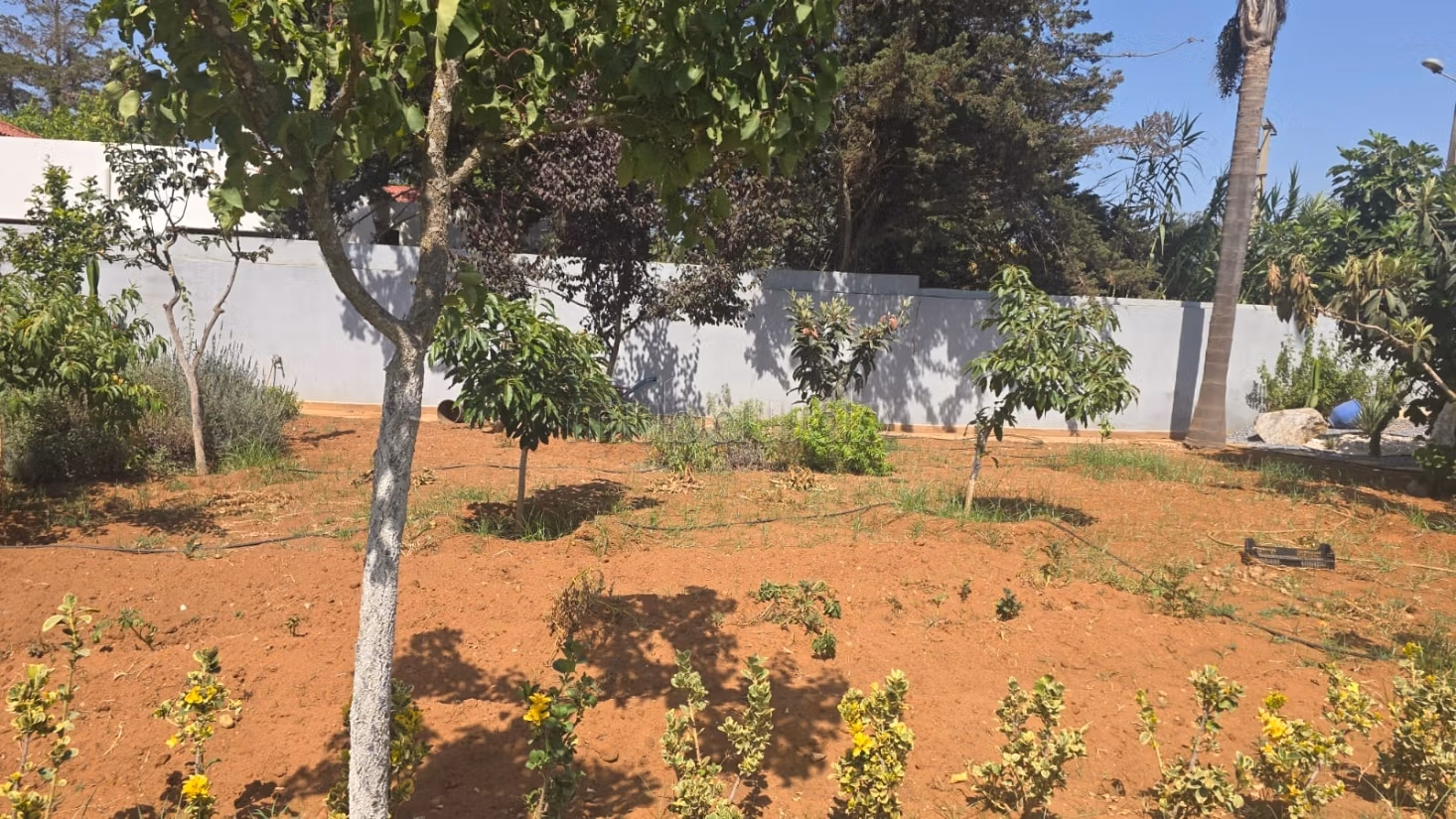 Villa arredata in affitto in Route de Zaer km 11