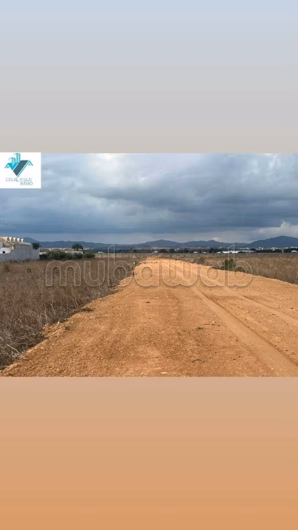 Terrain a vendre a yasmine hammamet