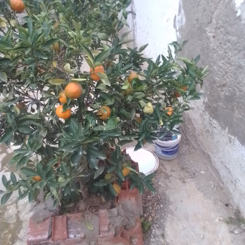 FOR SALE – Two-storey villa in Hay Chaker, Borj Touil