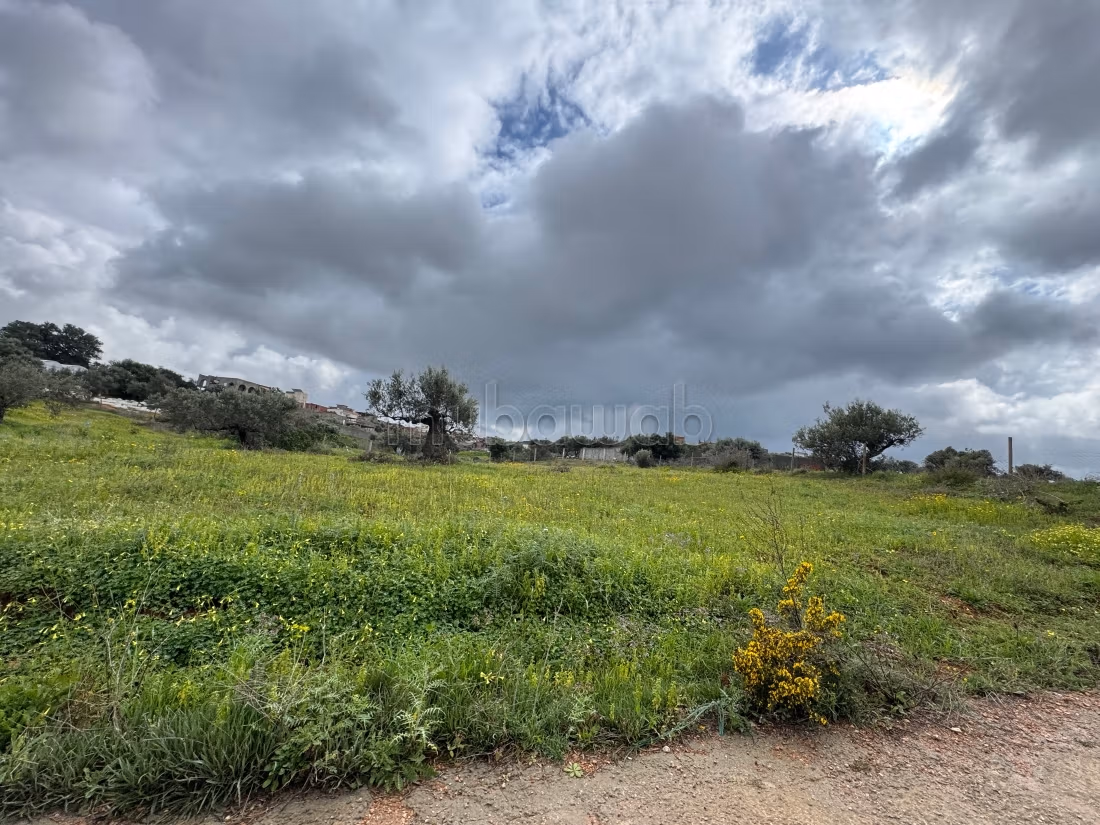 Land for sale in Cebalat Ben Ammar. Area 1750 m²