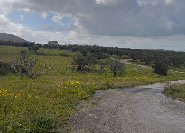 Terrain à vendre à Cebalat Ben Ammar.
Superficie 1750 m²