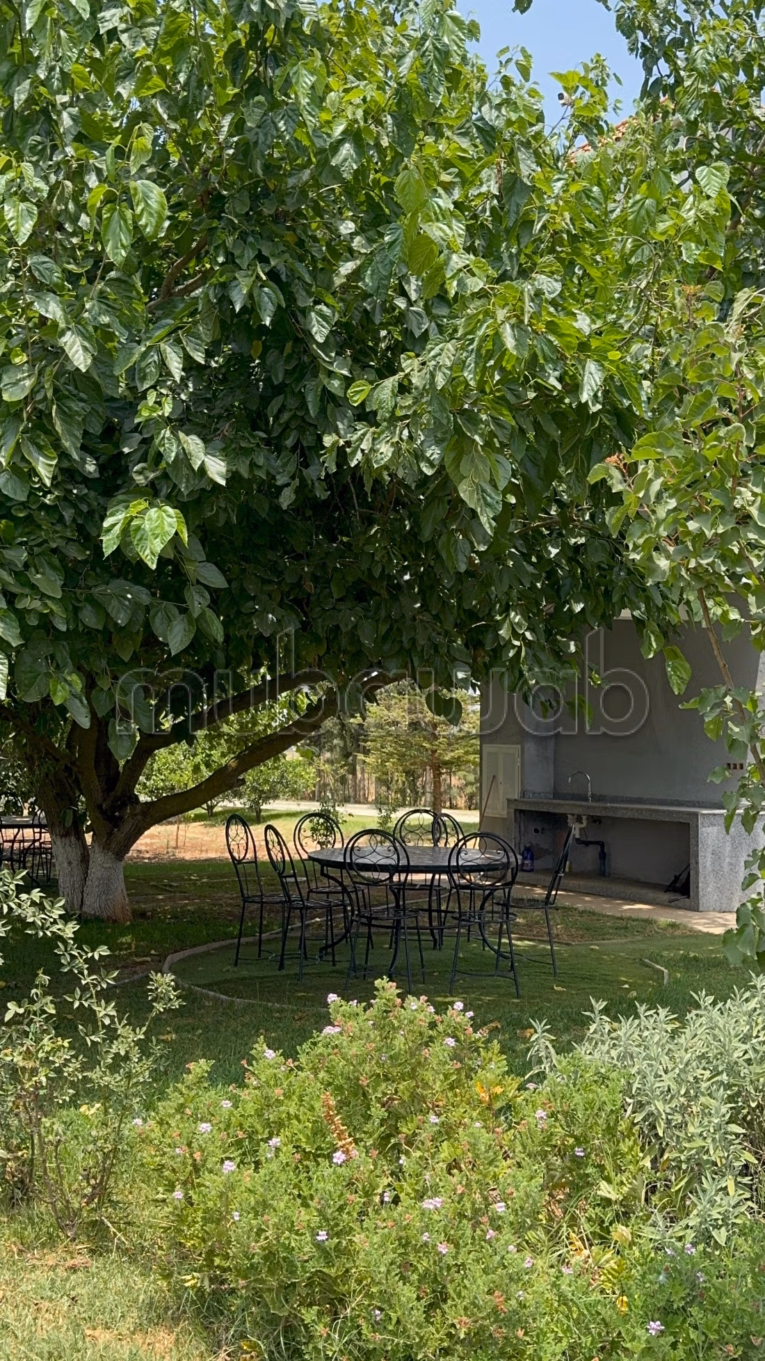 Fattoria con villa di lusso in vendita
