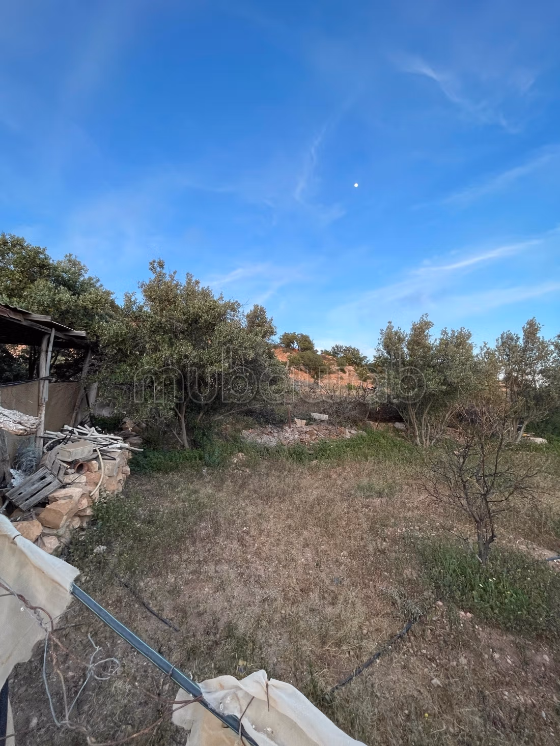 Due lotti contigui di 144 m² con deposito