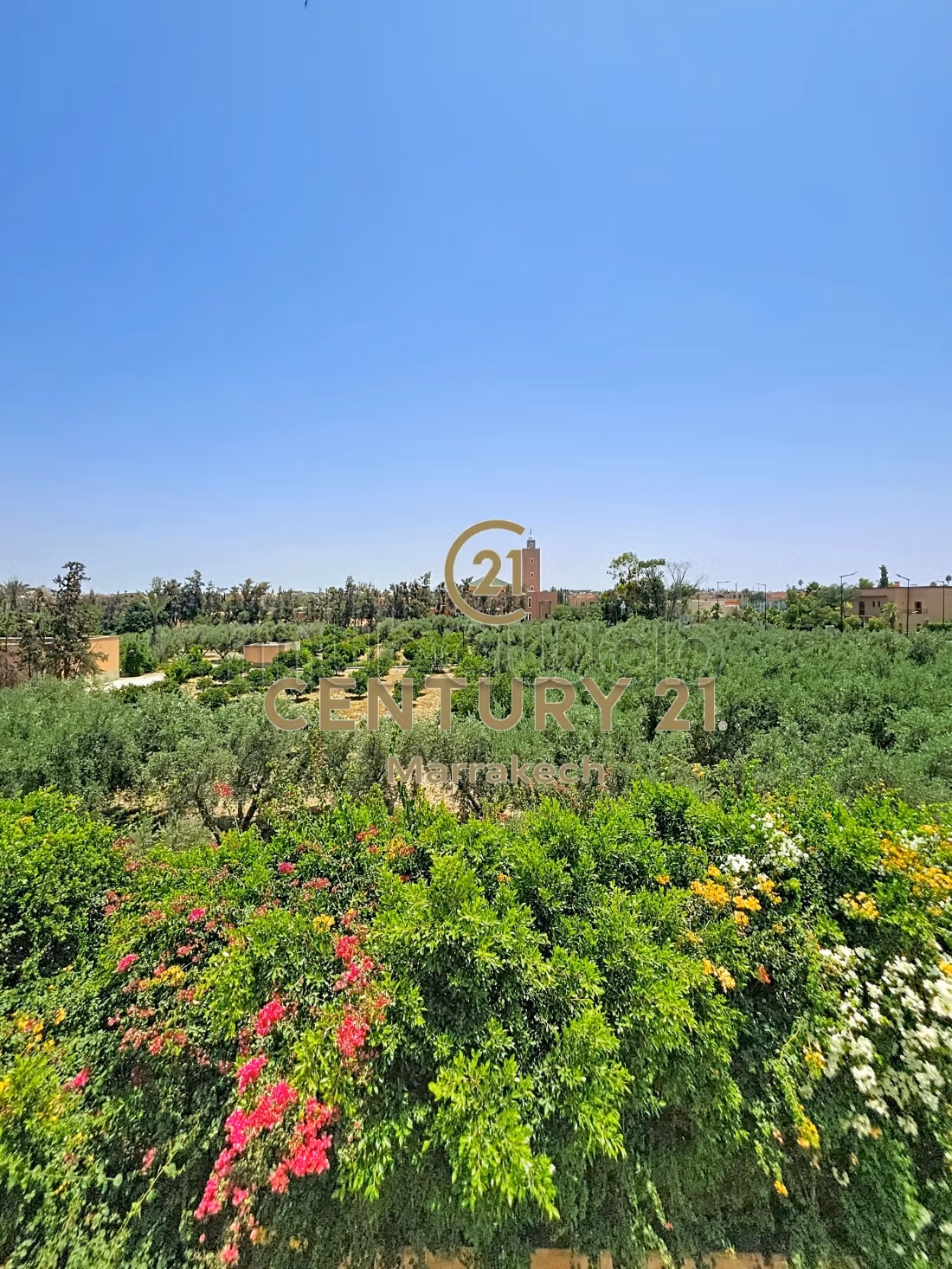 Villa with traditional charm, pool, and hammam