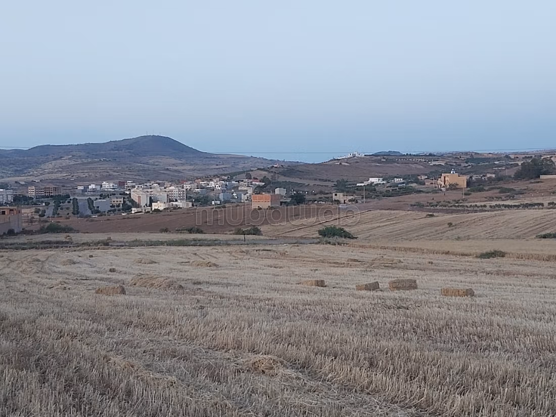Grond van 5 hectare in de stad Ahfir Berkane