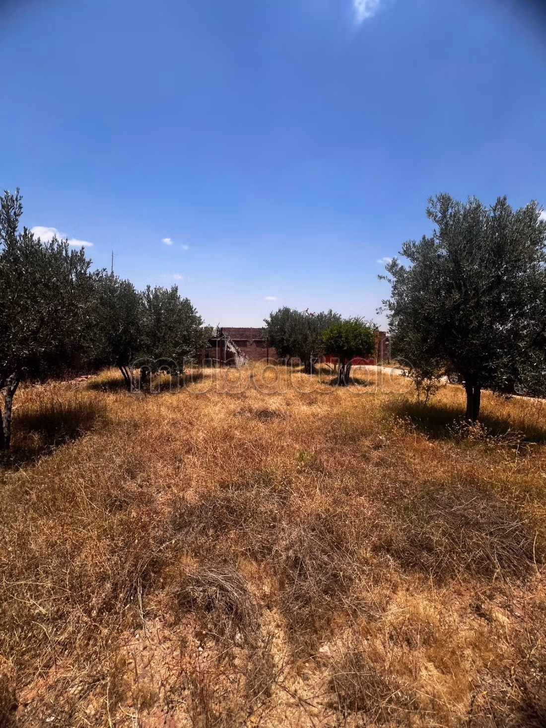 Finca de 1,5 hectáreas titulada en venta en RT Ourika Kech
