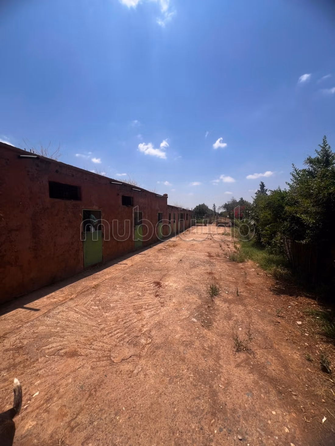 Finca de 1,5 hectáreas titulada en venta en RT Ourika Kech