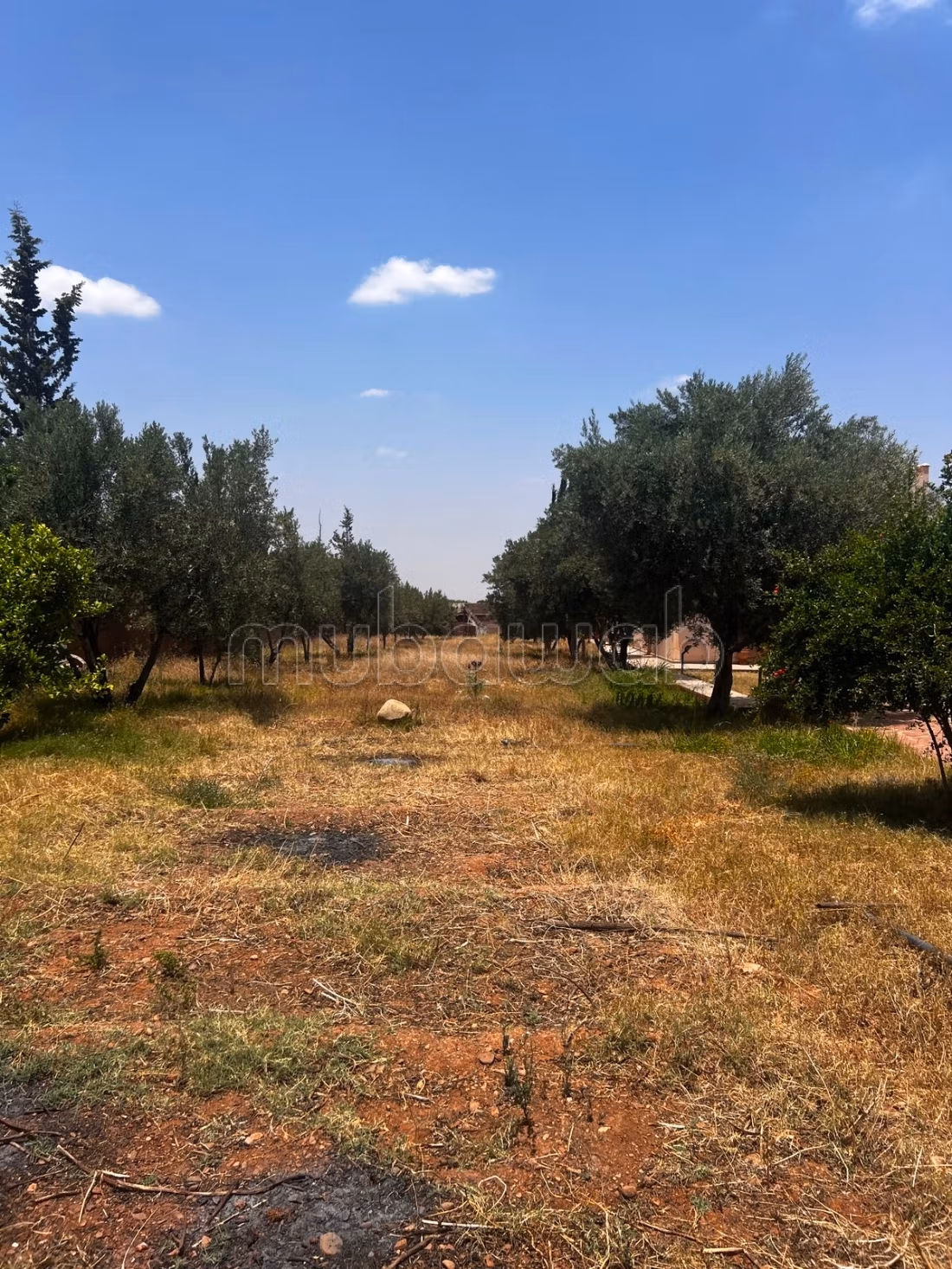 Finca de 1,5 hectáreas titulada en venta en RT Ourika Kech