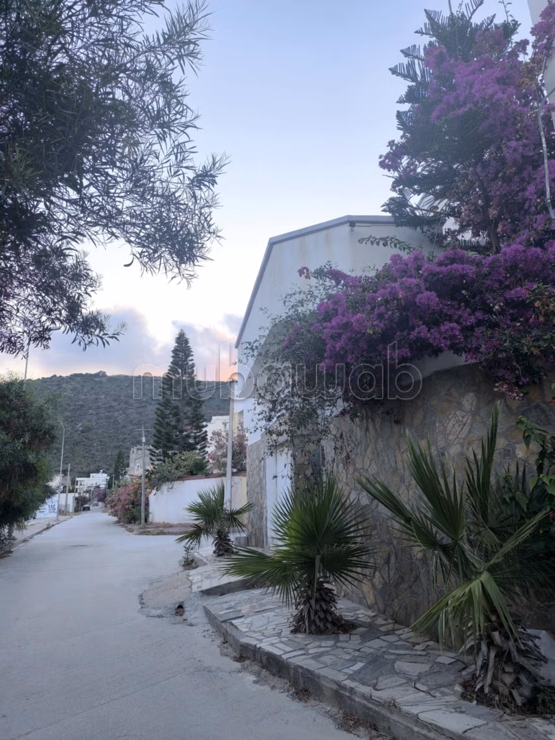 Bizerte tunisa cosy studio