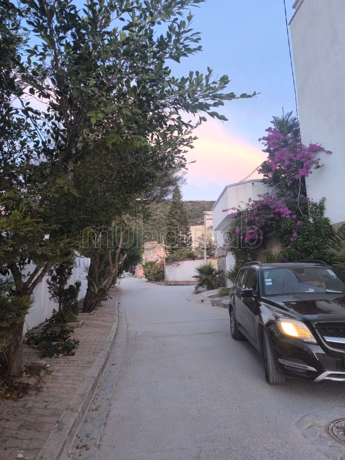 Bizerte tunisa cosy studio