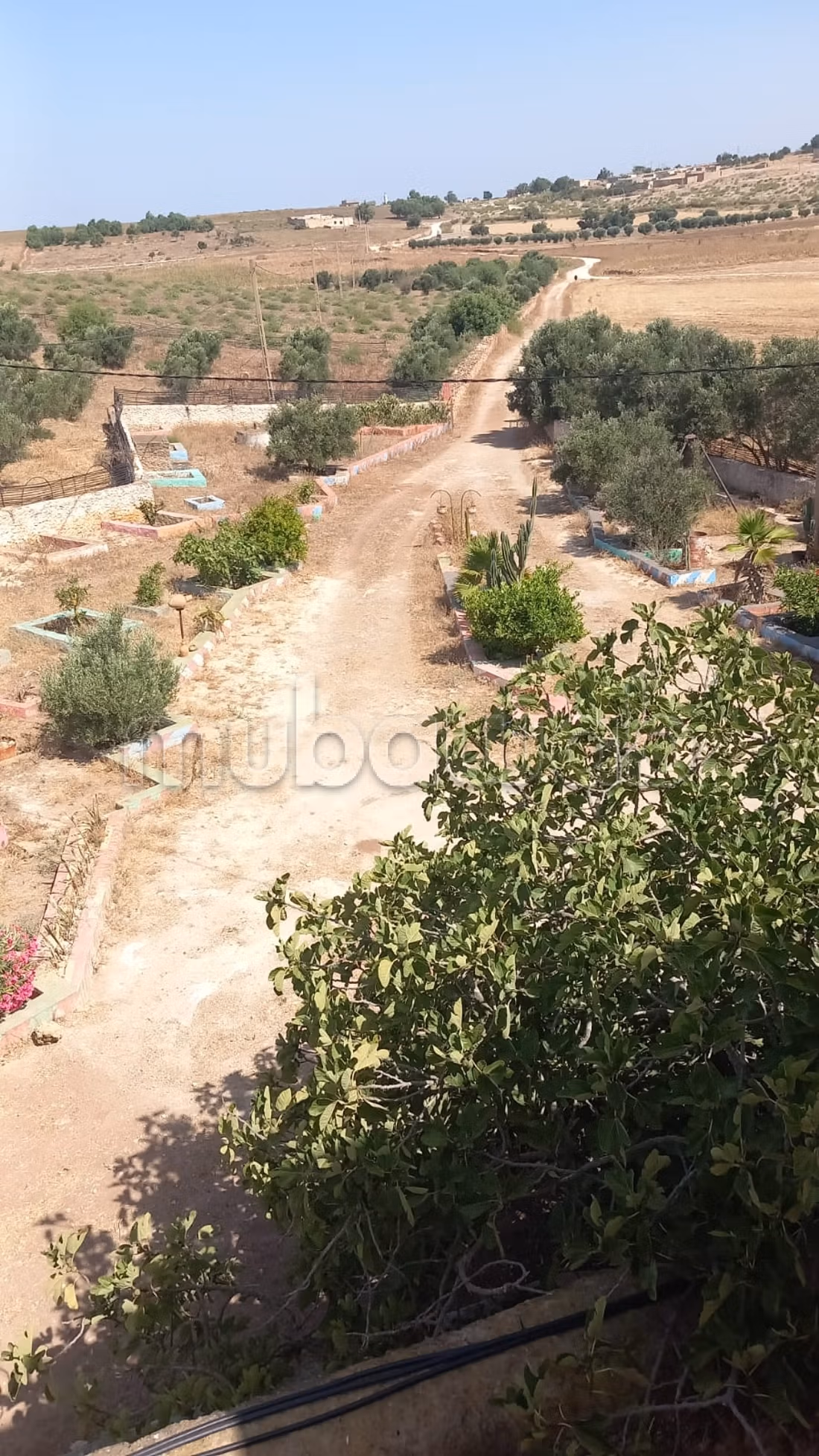 Title Deed Agricultural Farm 17 hectares