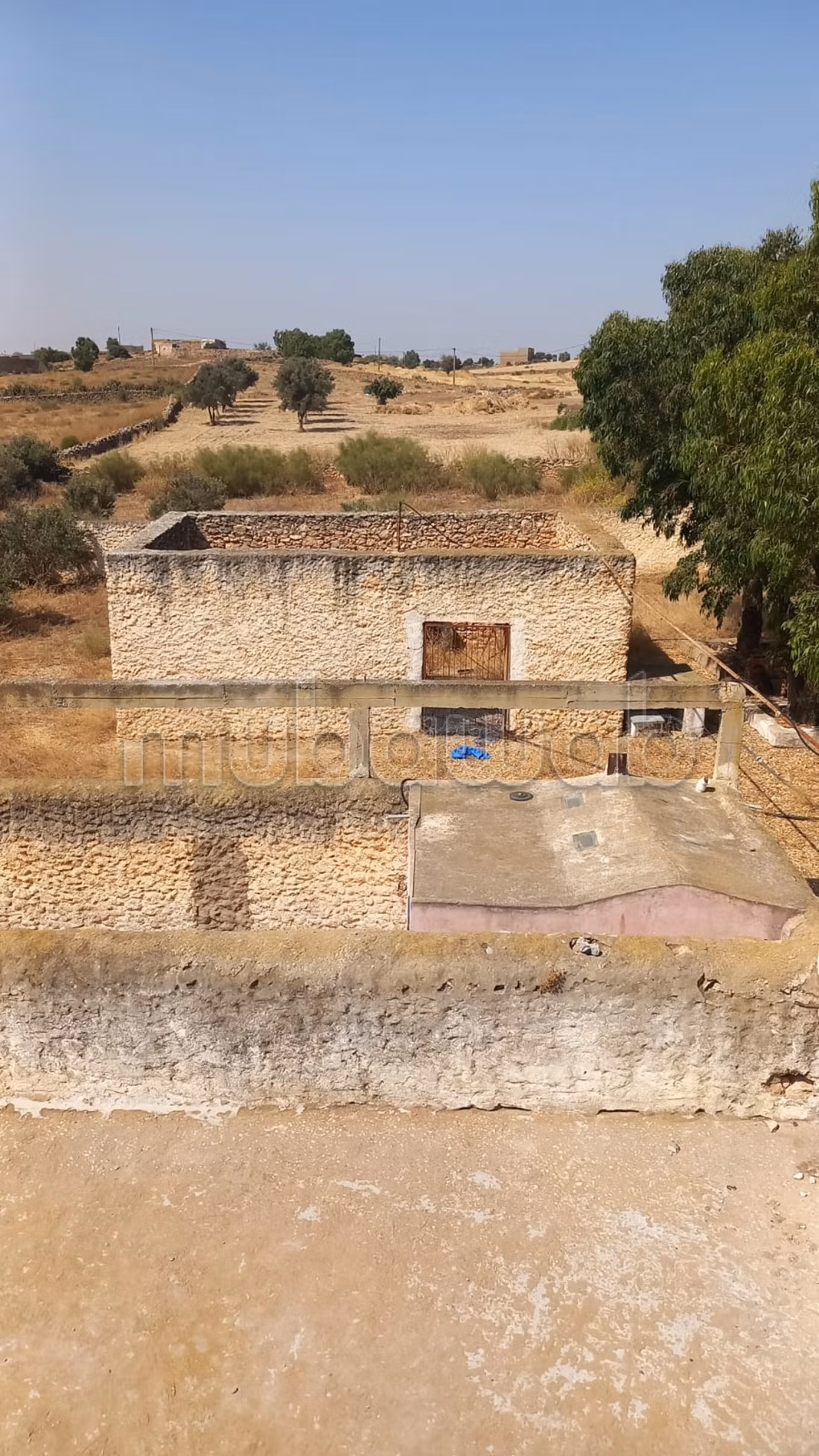 Title Deed Agricultural Farm 17 hectares