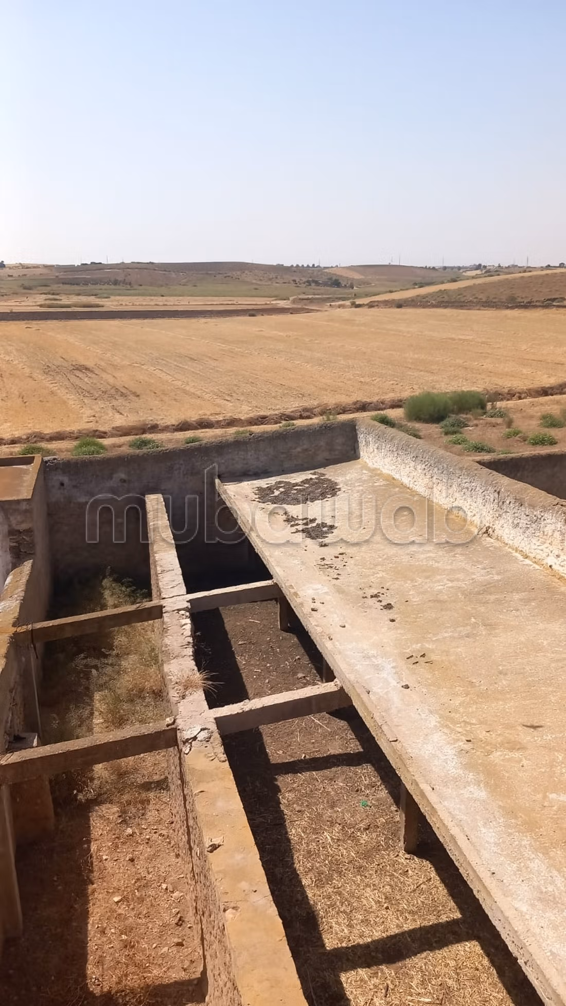 Title Deed Agricultural Farm 17 hectares