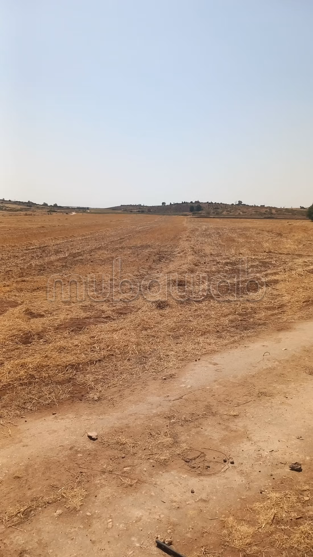 Title Deed Agricultural Farm 17 hectares