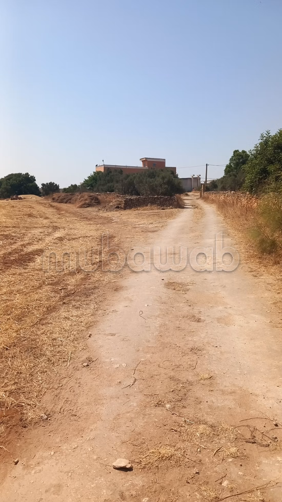 Title Deed Agricultural Farm 17 hectares