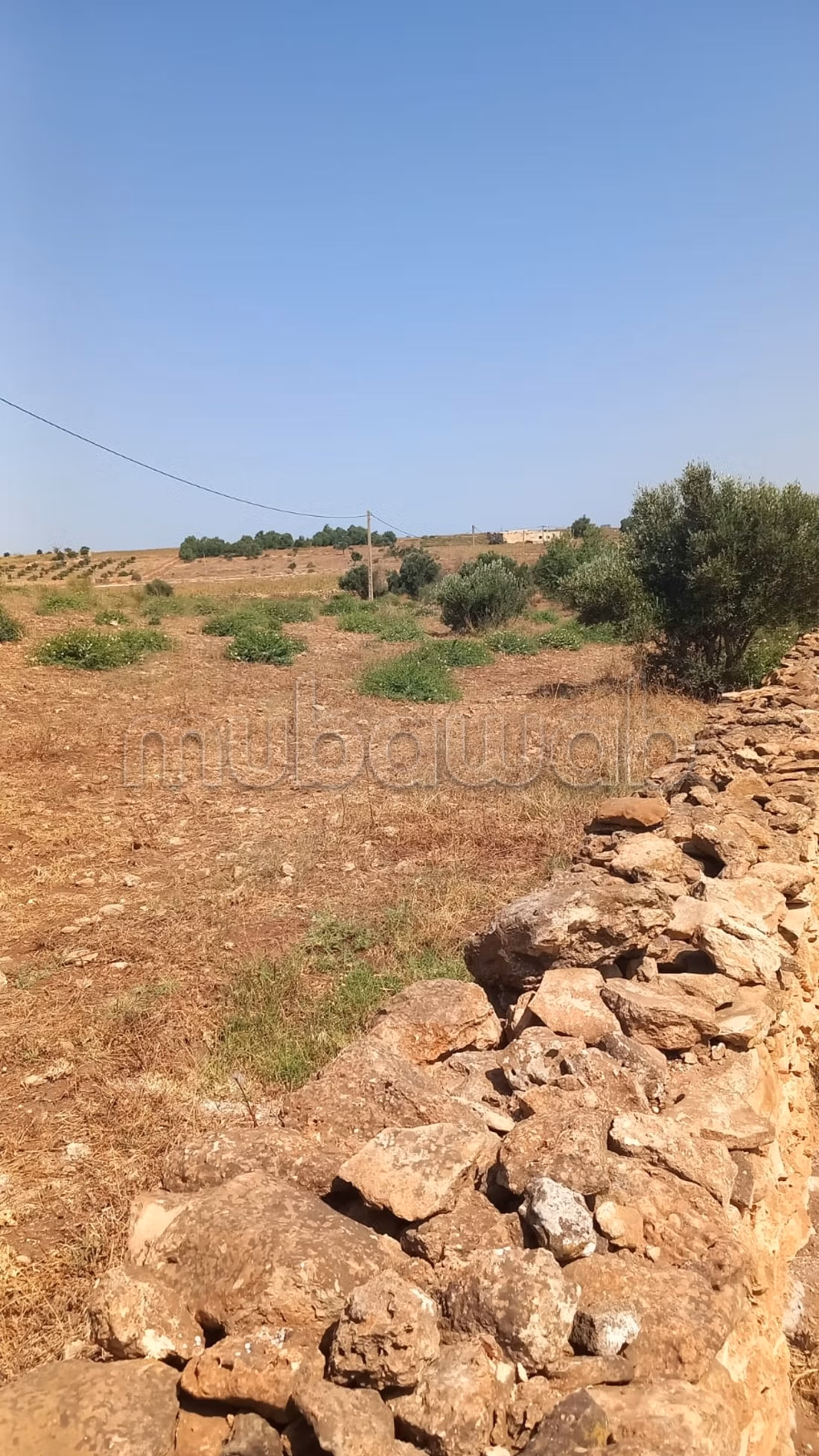 Title Deed Agricultural Farm 17 hectares