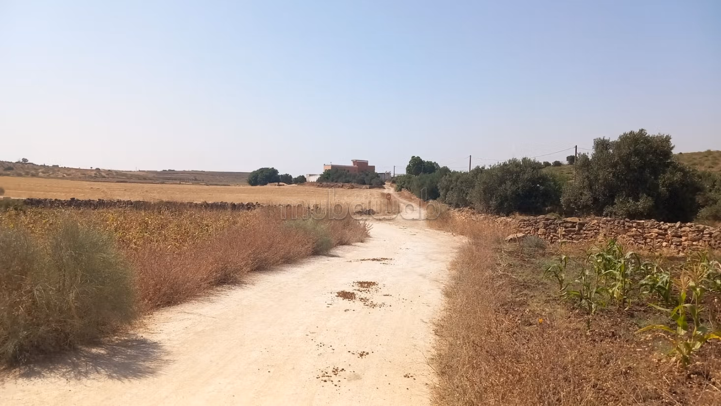 Title Deed Agricultural Farm 17 hectares