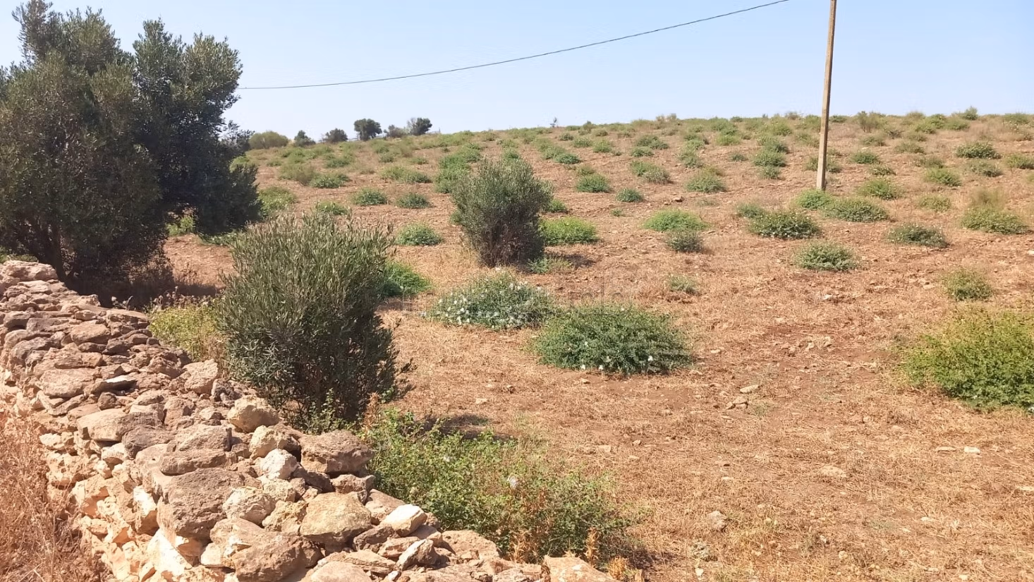 Title Deed Agricultural Farm 17 hectares