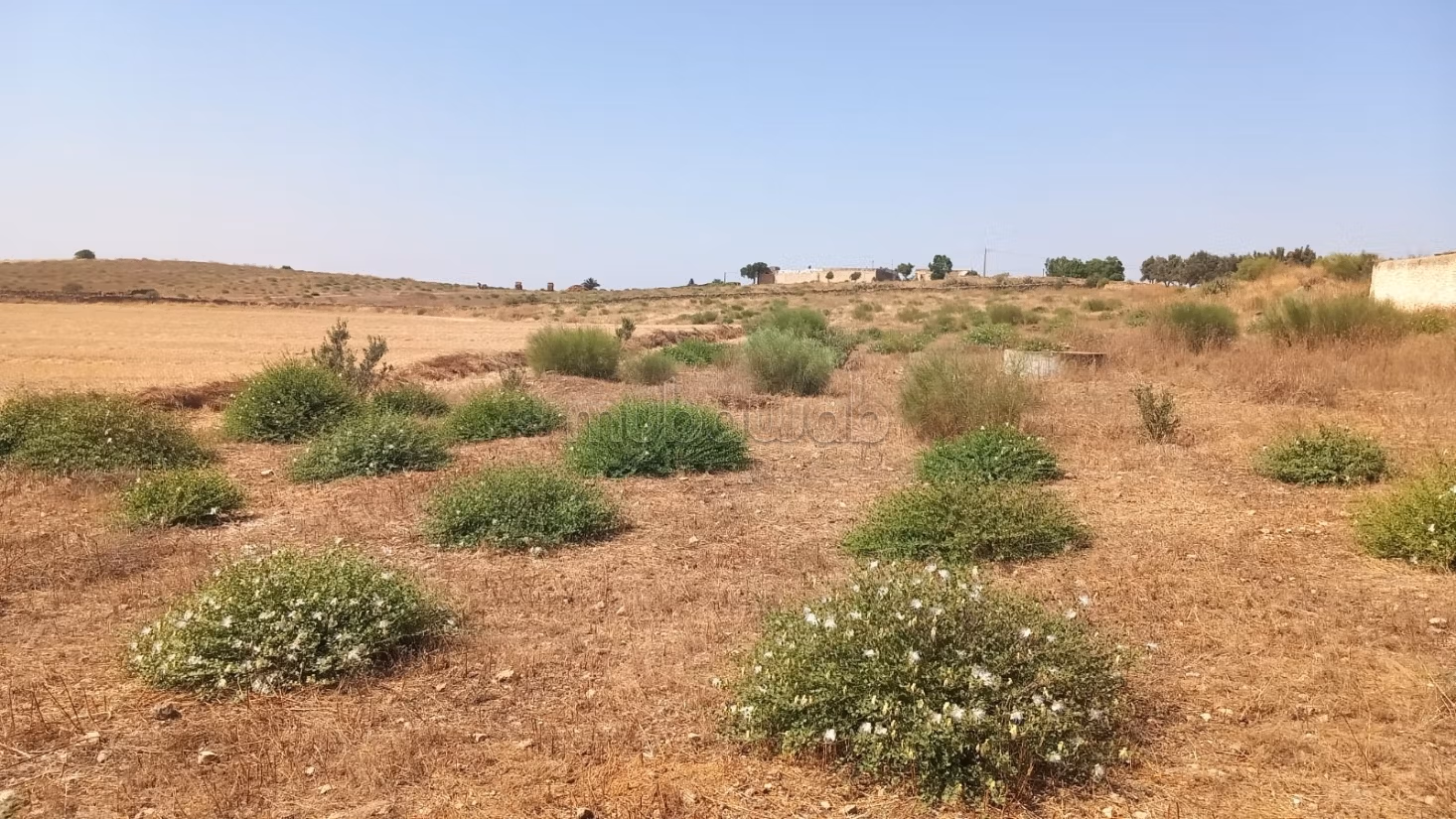 Title Deed Agricultural Farm 17 hectares