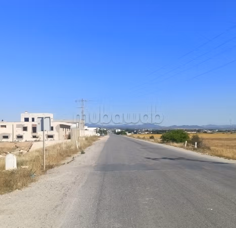 Terrain de rêve à Hammamet Sud