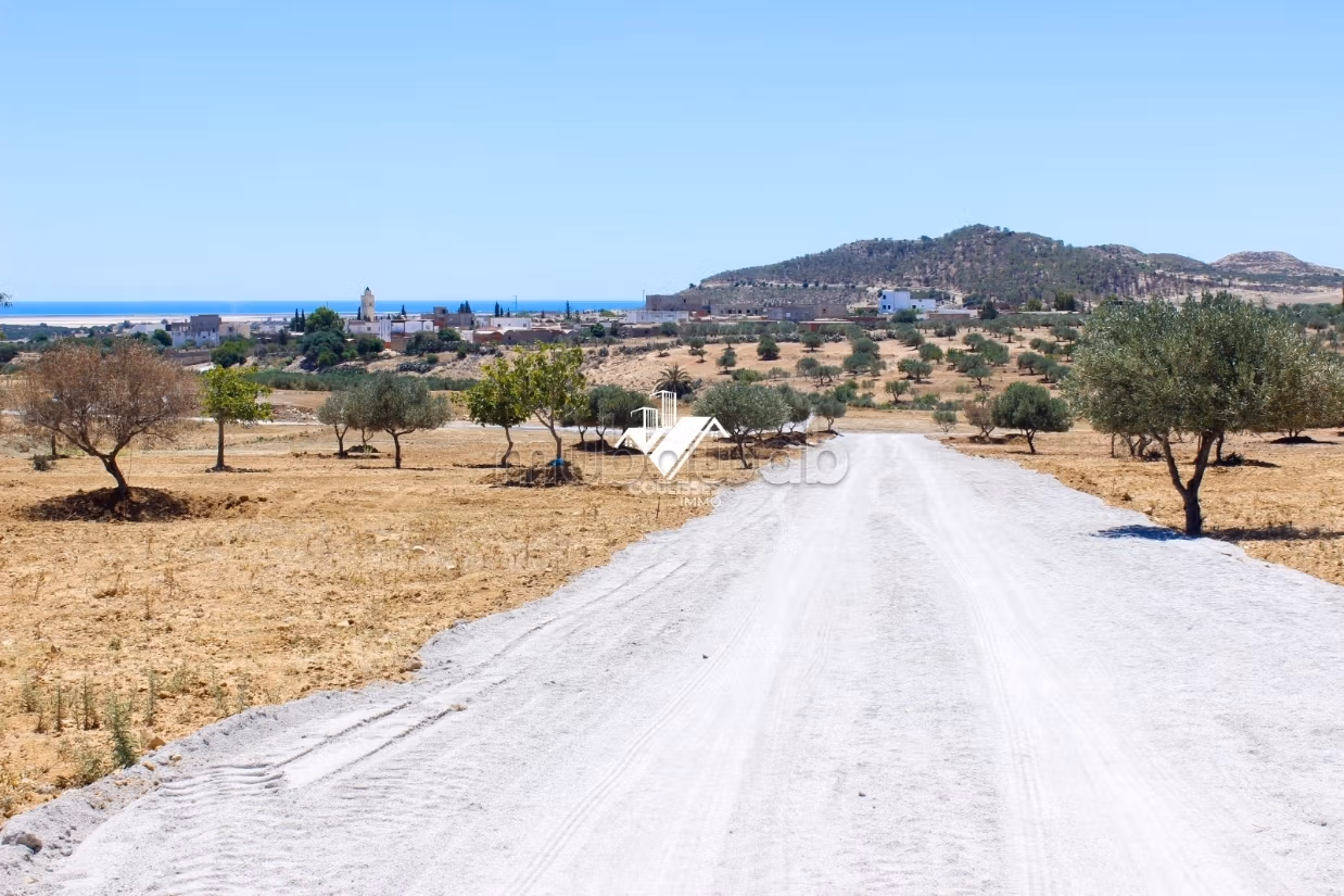 Investimento raro a Hammamet Sud
