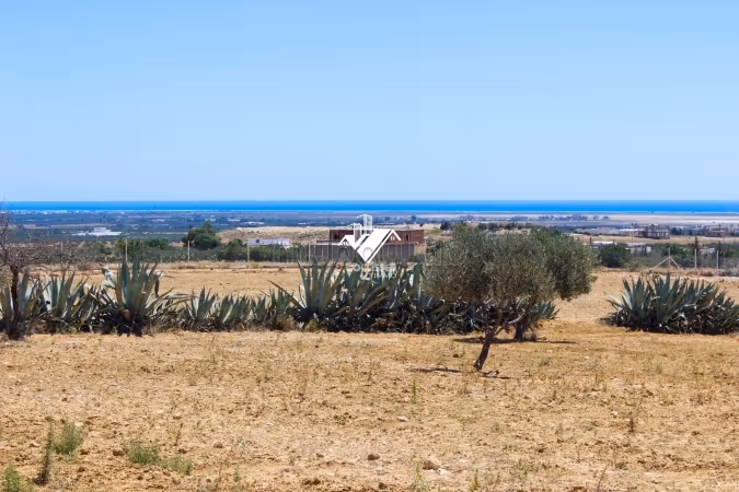 Investissement rare a hammamet sud