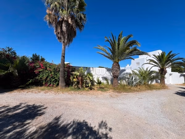 Terrain 1000 m² à vendre proche Yasmine Hammamet