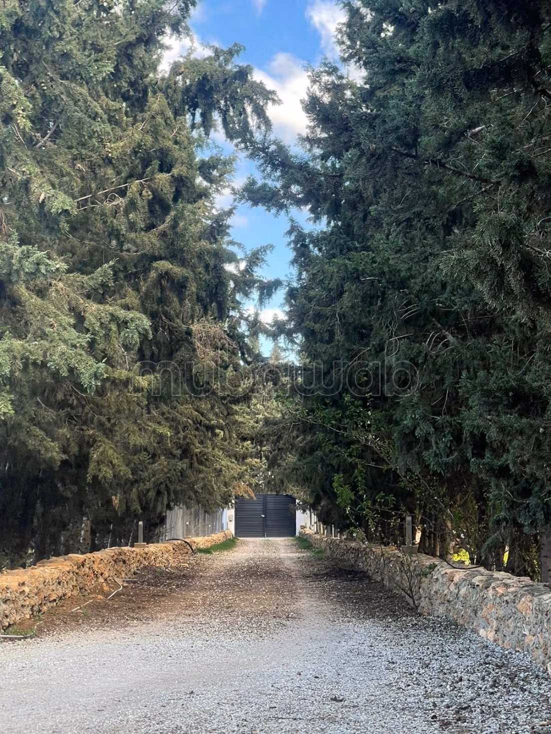For rent a villa in Cebalet Ben Ammar