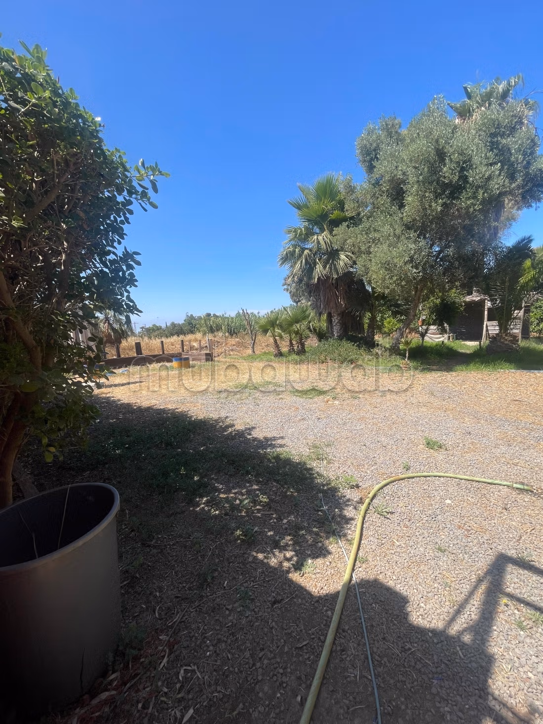 Fattoria a Benslimane Ain Tizgha
