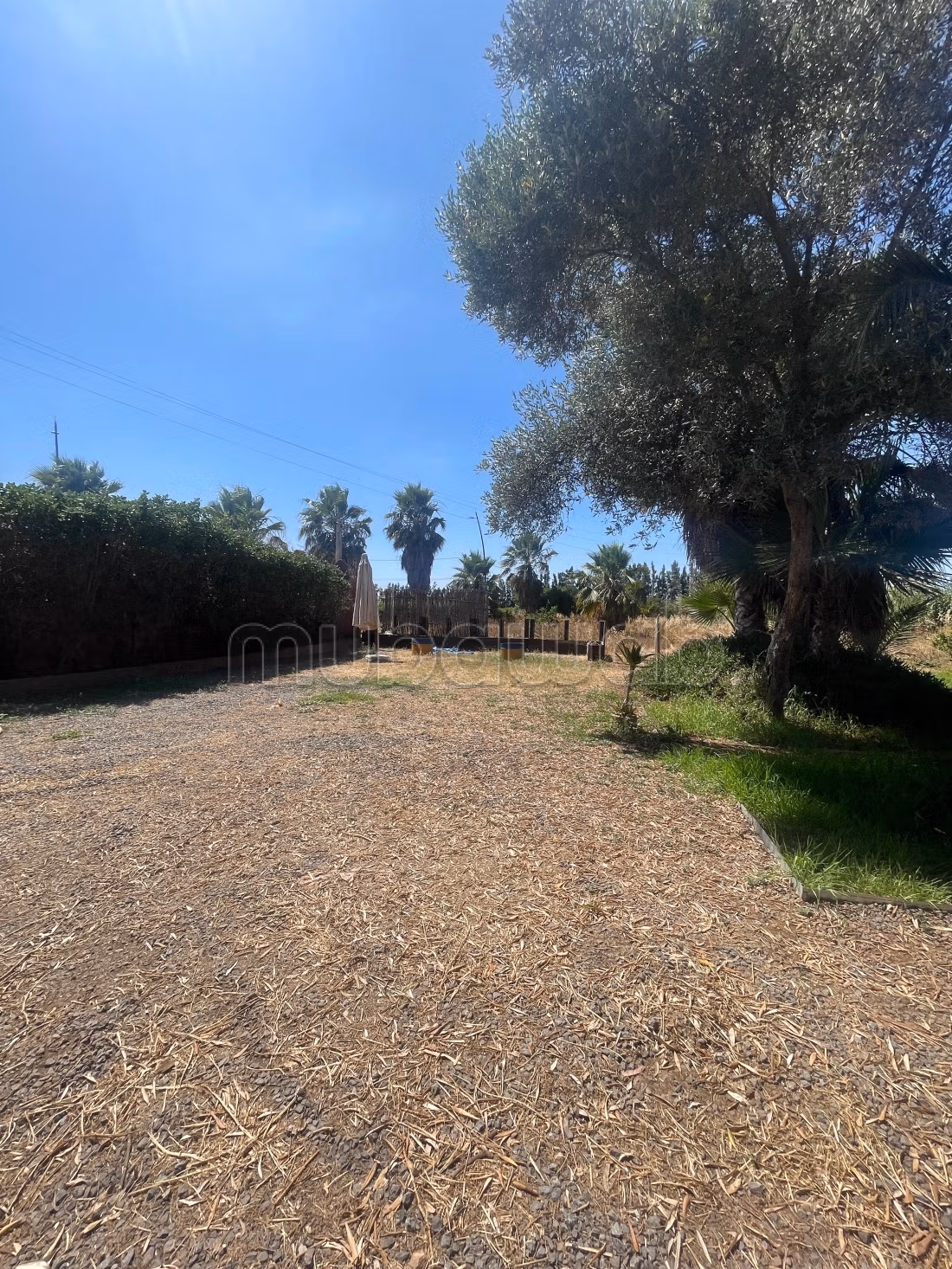 Fattoria a Benslimane Ain Tizgha