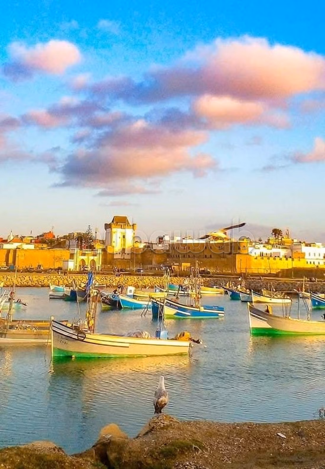 Appartamento in affitto ad Asilah. 2 belle camere. Arredato