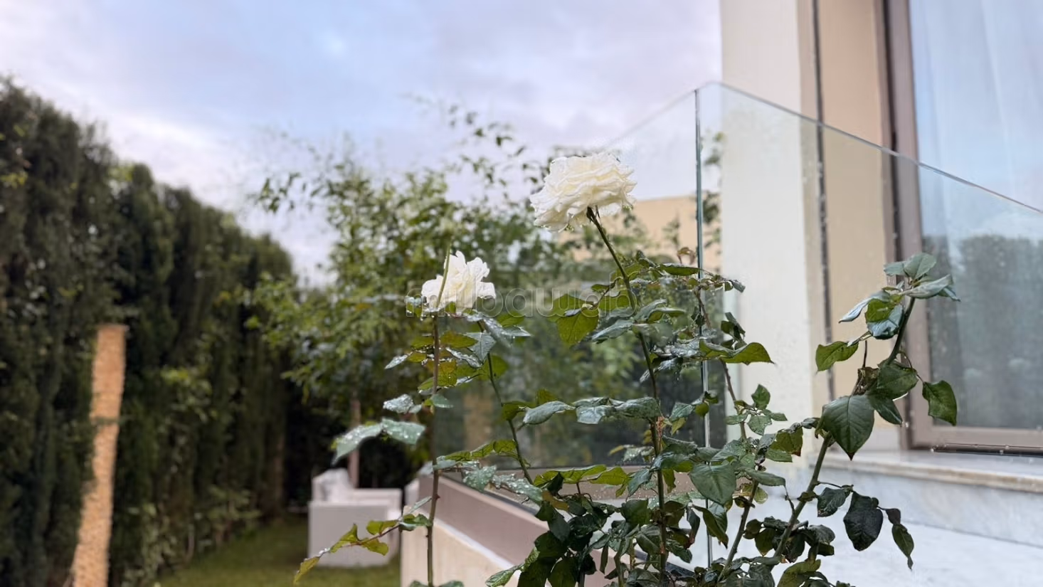 Magnifica villa in affitto Aghroud Bensergaou