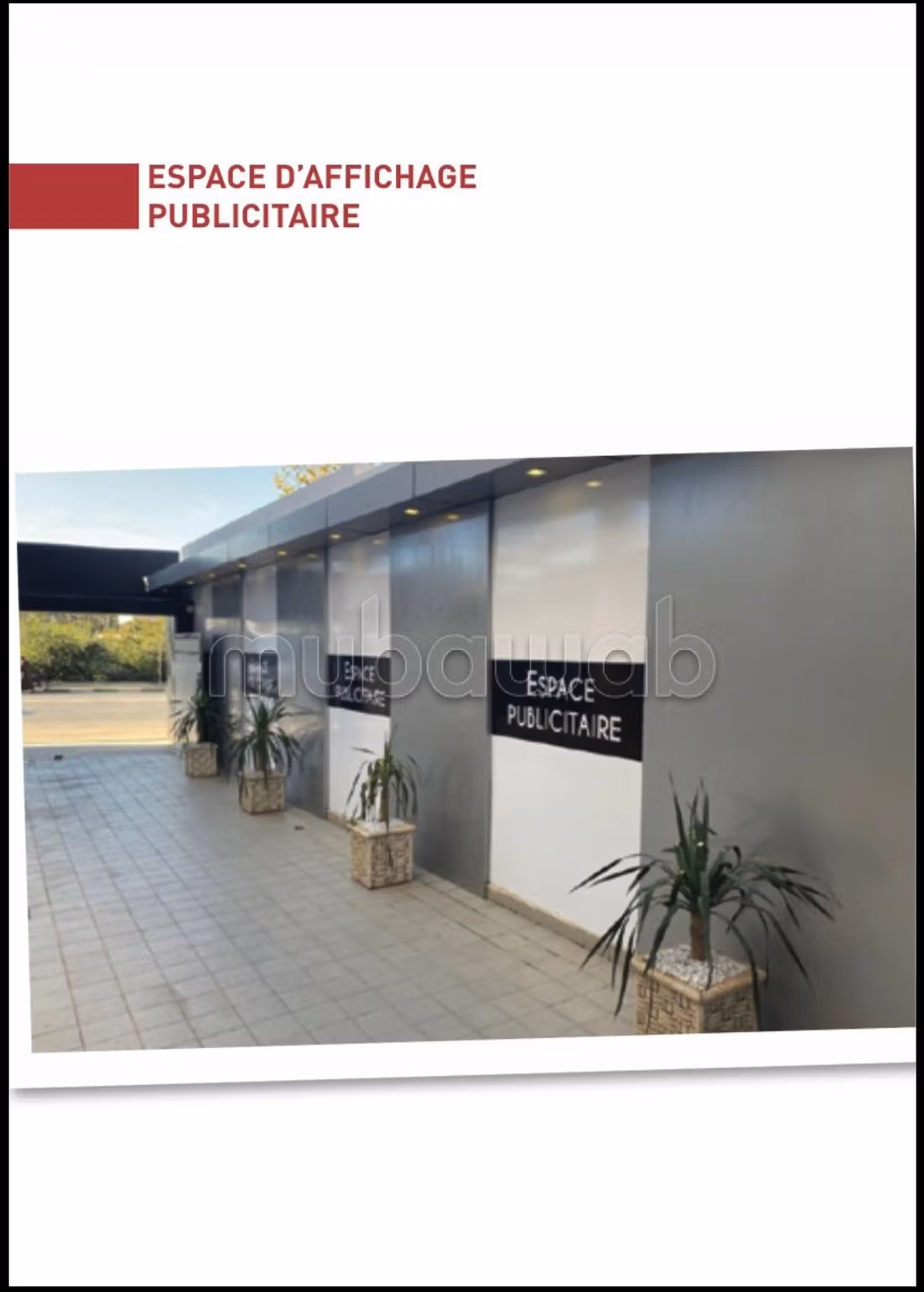 Plateau bureaux 1024 m² standing premium